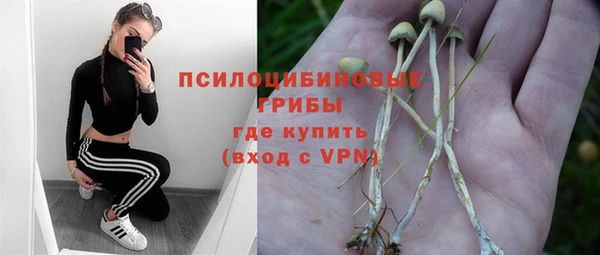 круглые Алзамай