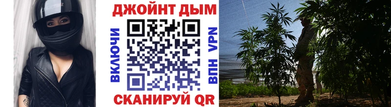 купить Юрьевец Марихуана сатива